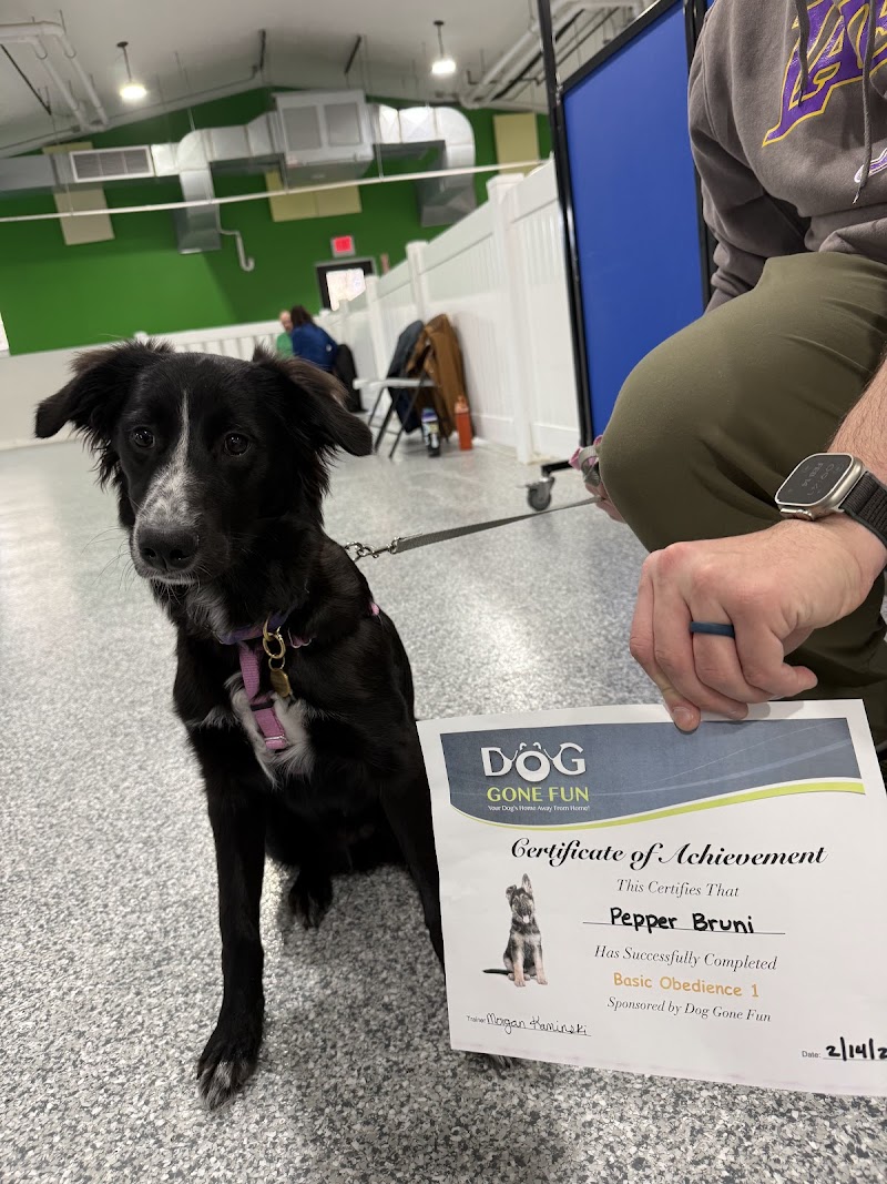 Dog Gone Fun, LLC.