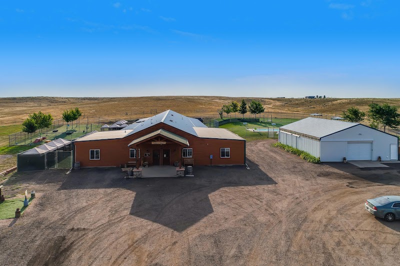 Doggie Dude Ranch and the O'Cat Corral