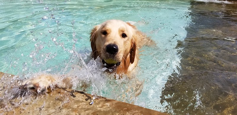Dog's Day Inn Pet Resort