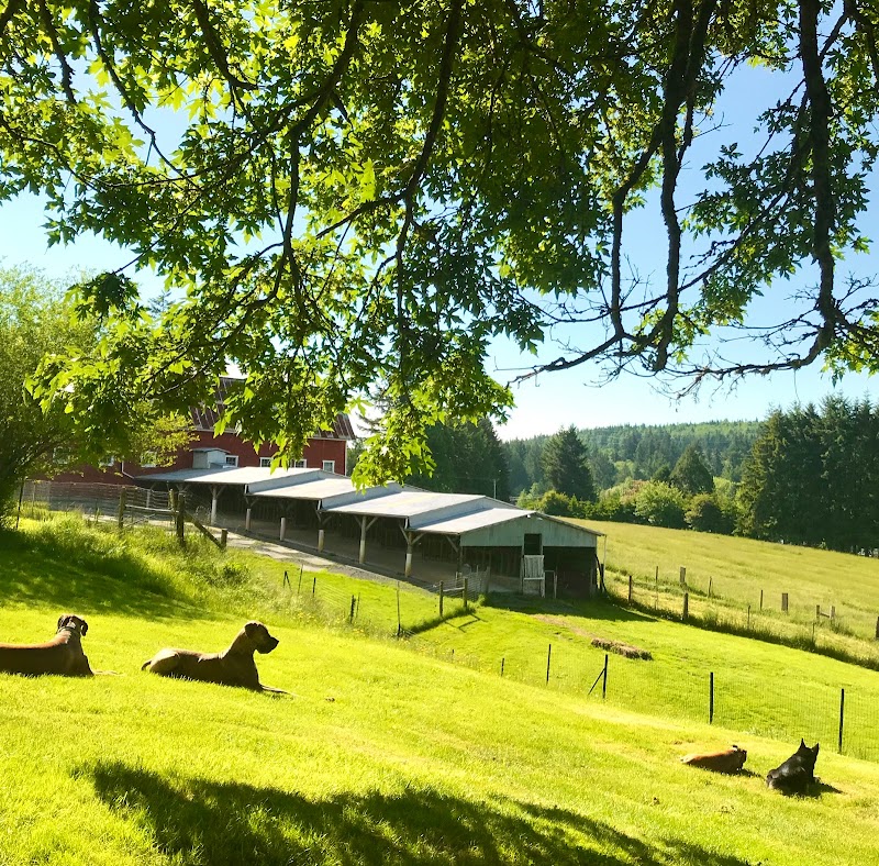 Double Dog Ranch Oregon