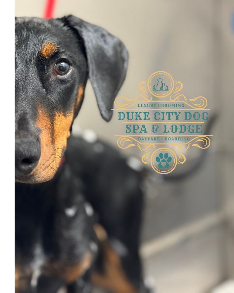 Duke City Dog Spa and Lodge
