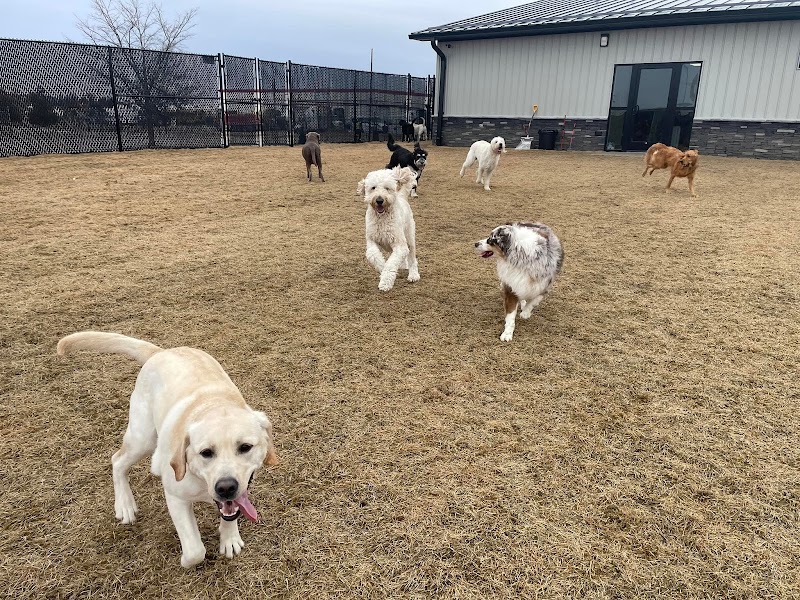 Eastern Iowa Pet Resort