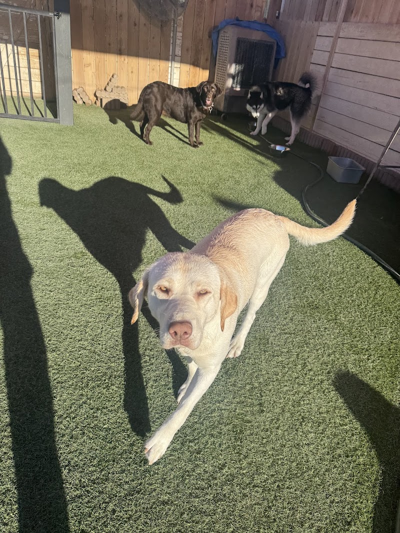 EP Barks and Rec (formerly D'Lux Dog Care)