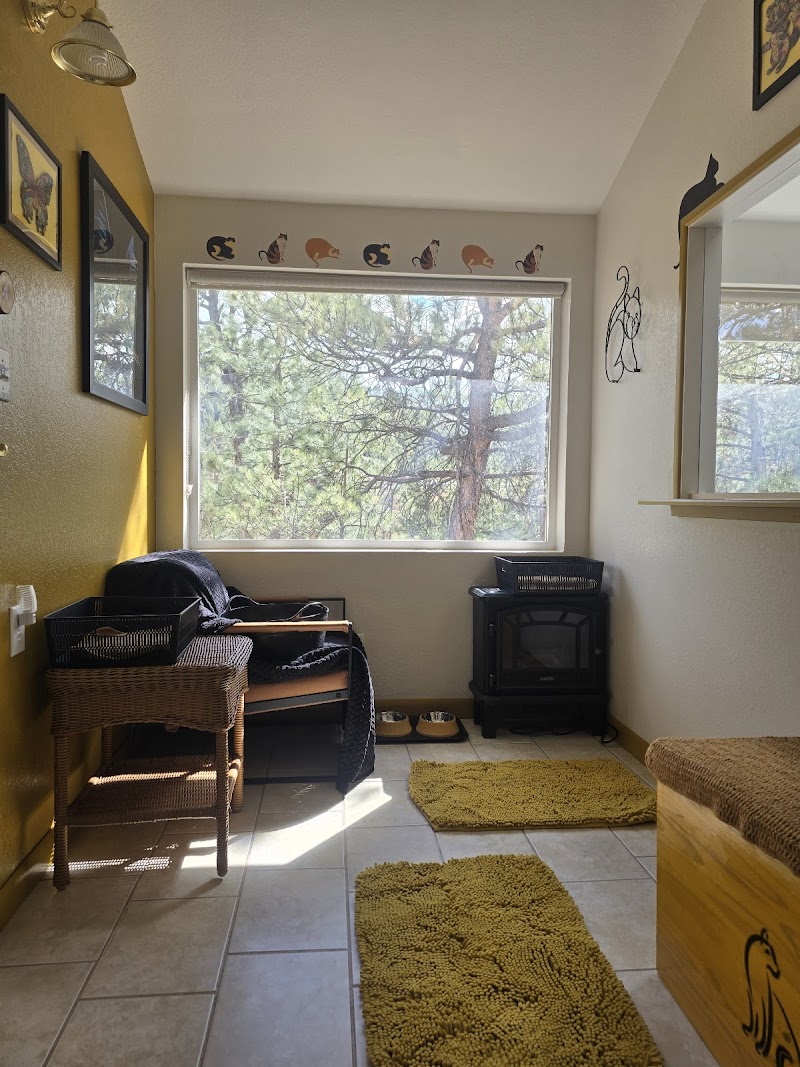 Evergreen Cat Lodge
