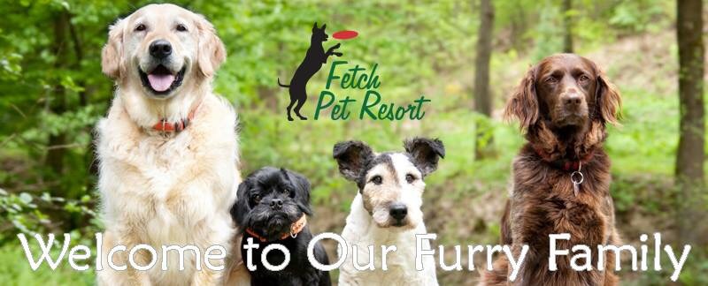 Fetch Pet Resort