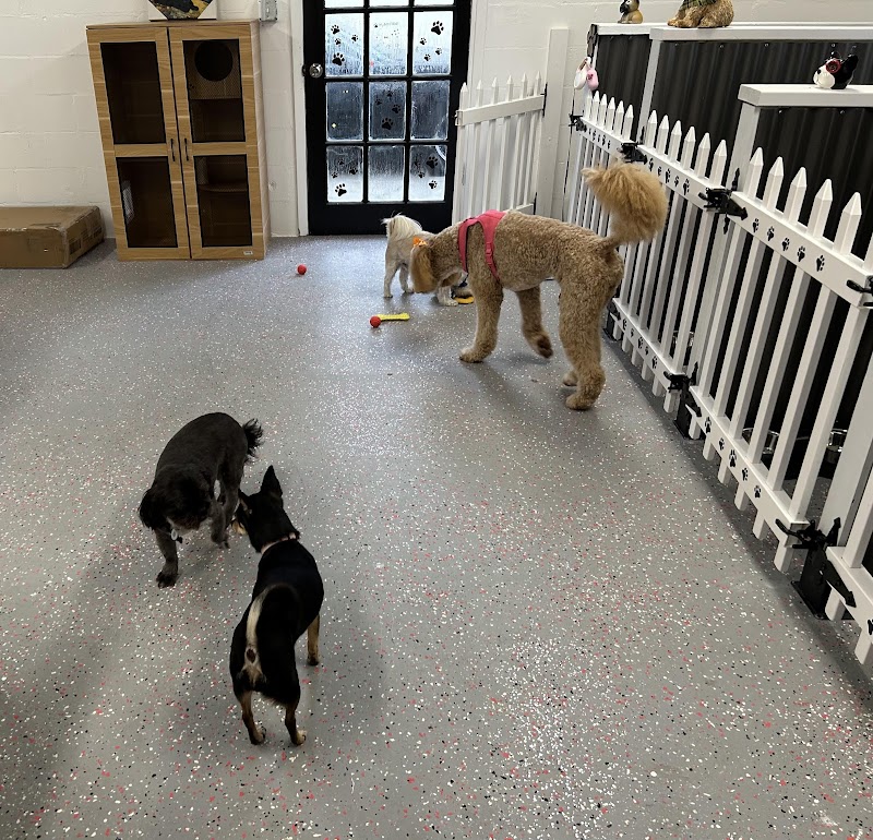 Friendly Paws Inn