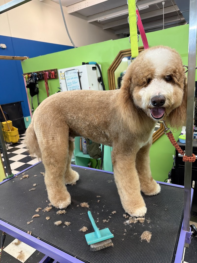 Fur- ever Friends Pet Resort and Spa
