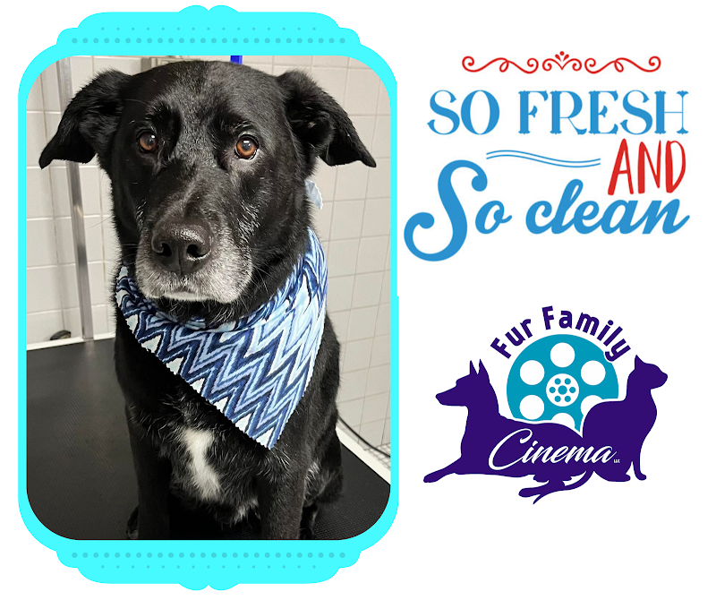 Fur Family Cinema LLC