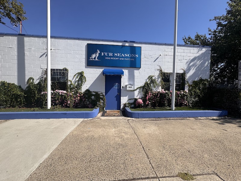 Fur Seasons Dog Resort & Spa
