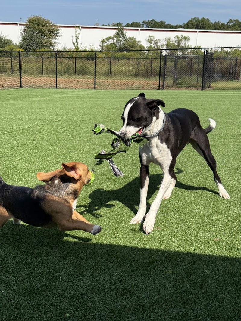 Furry Friends Pet Resort Inc.