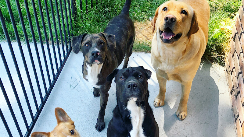 Garden City Pets