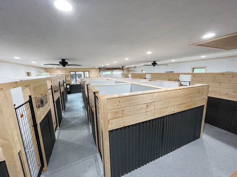 Golden Paws Luxury Pet Resort