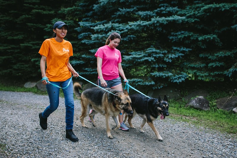 Gracelane Kennels