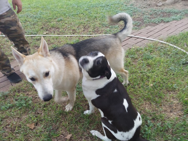 Green Acres Pet Ranch