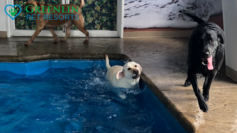 Greenlin Pet Resorts
