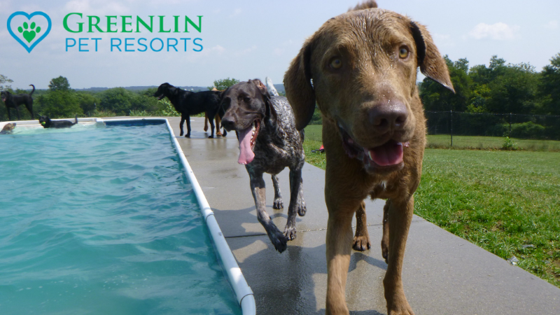 Greenlin Pet Resorts