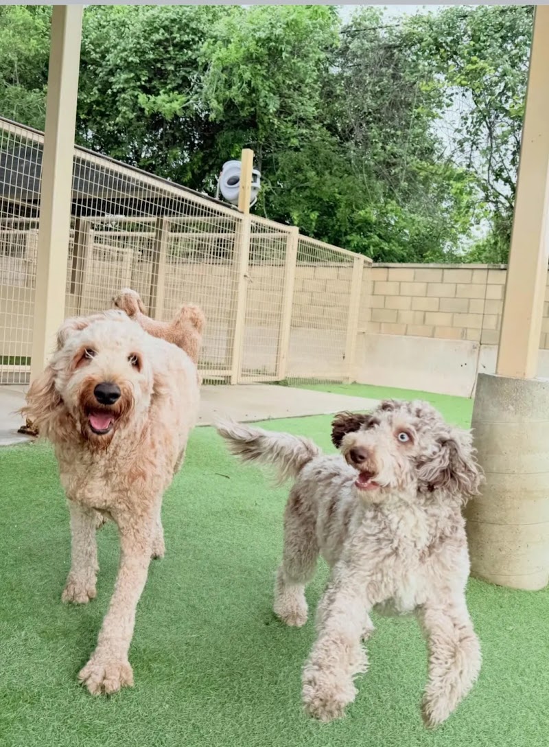 Gruene Barks and Rec Boarding and Grooming