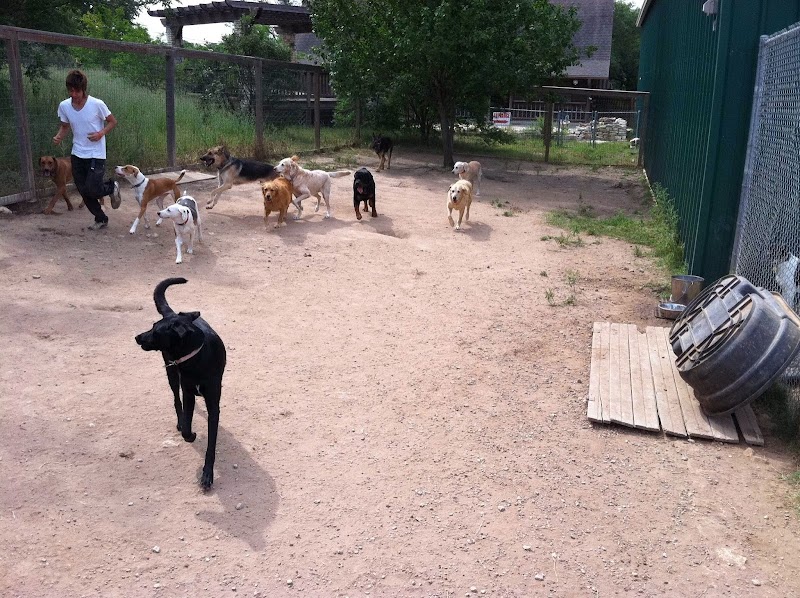 Happy Mailman Dog Retreat