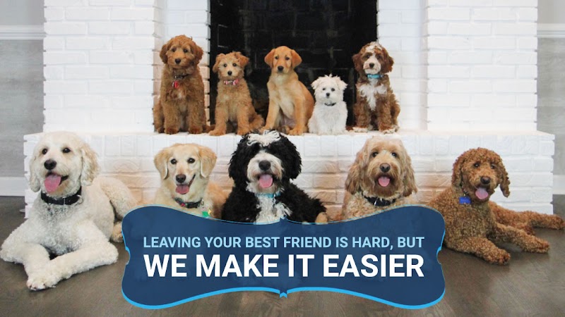 Happy Pup Manor