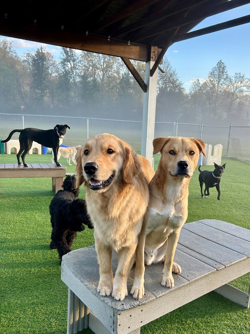 Happy Tails Country Club East