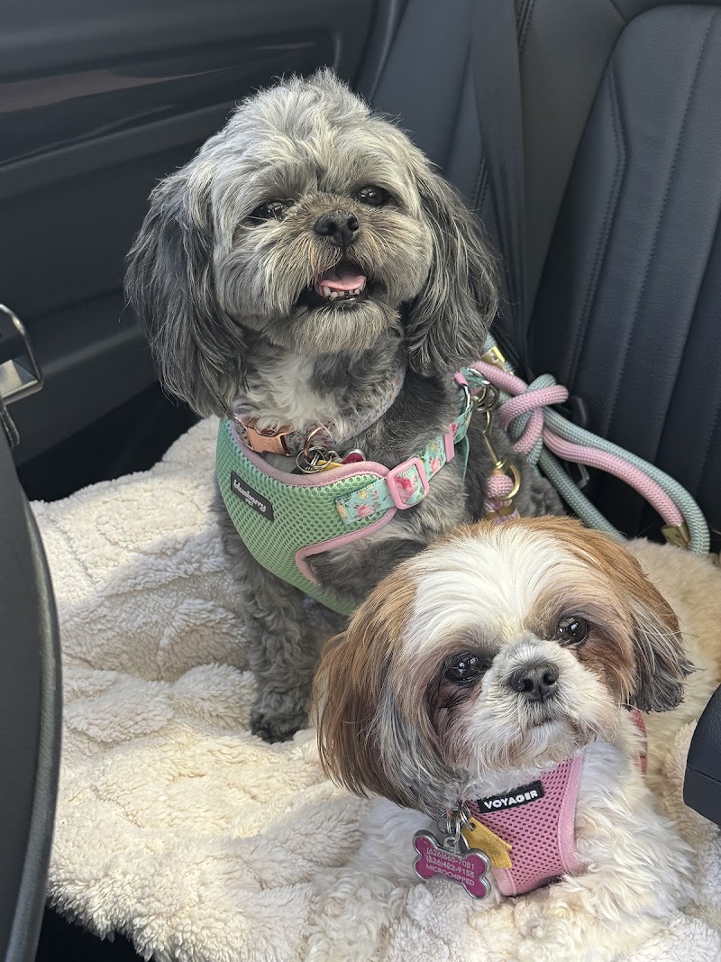 Heavenly Pet Resort