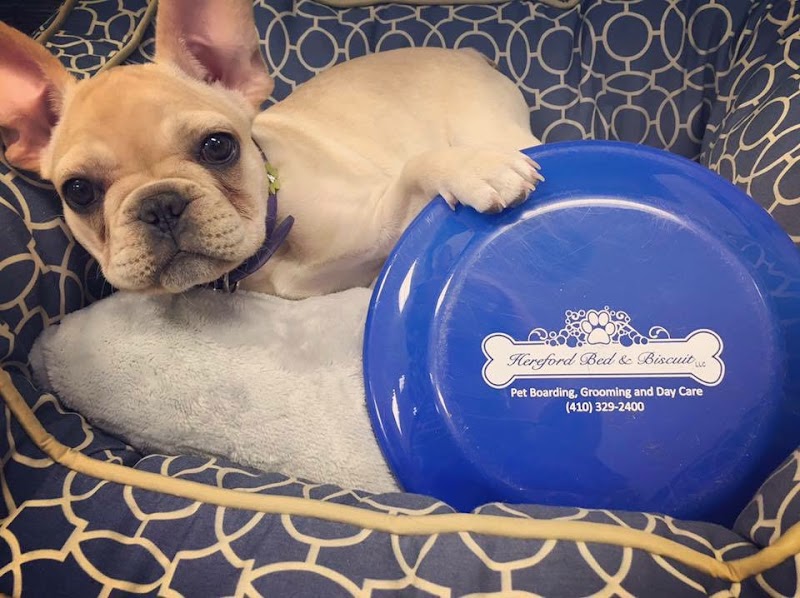 Hereford Bed & Biscuit LLC