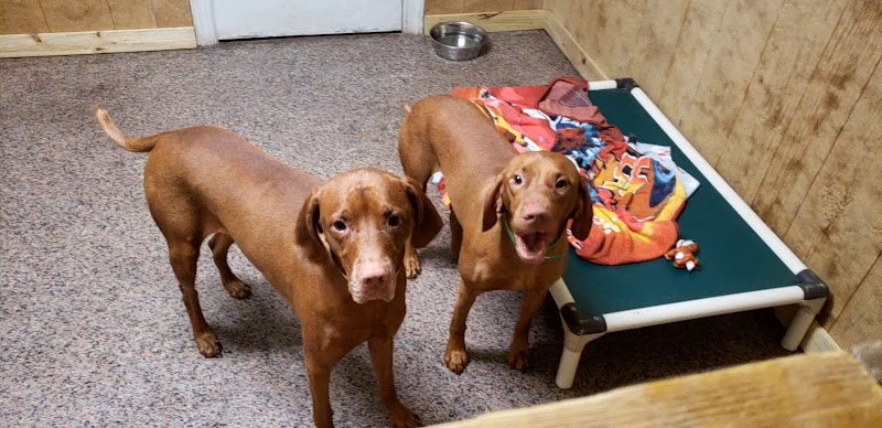 Hi C Farms and Kennels LLC