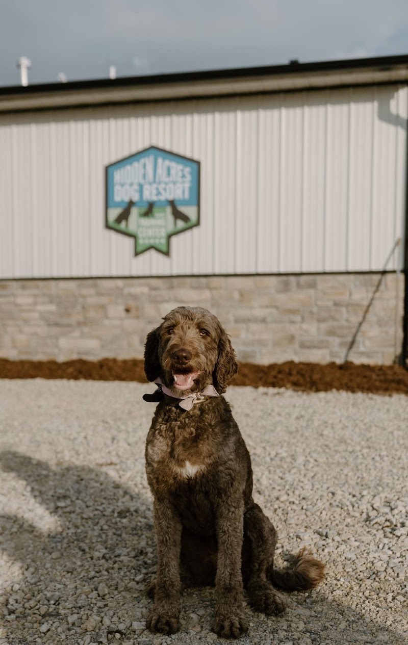 Hidden Acres Dog Resort
