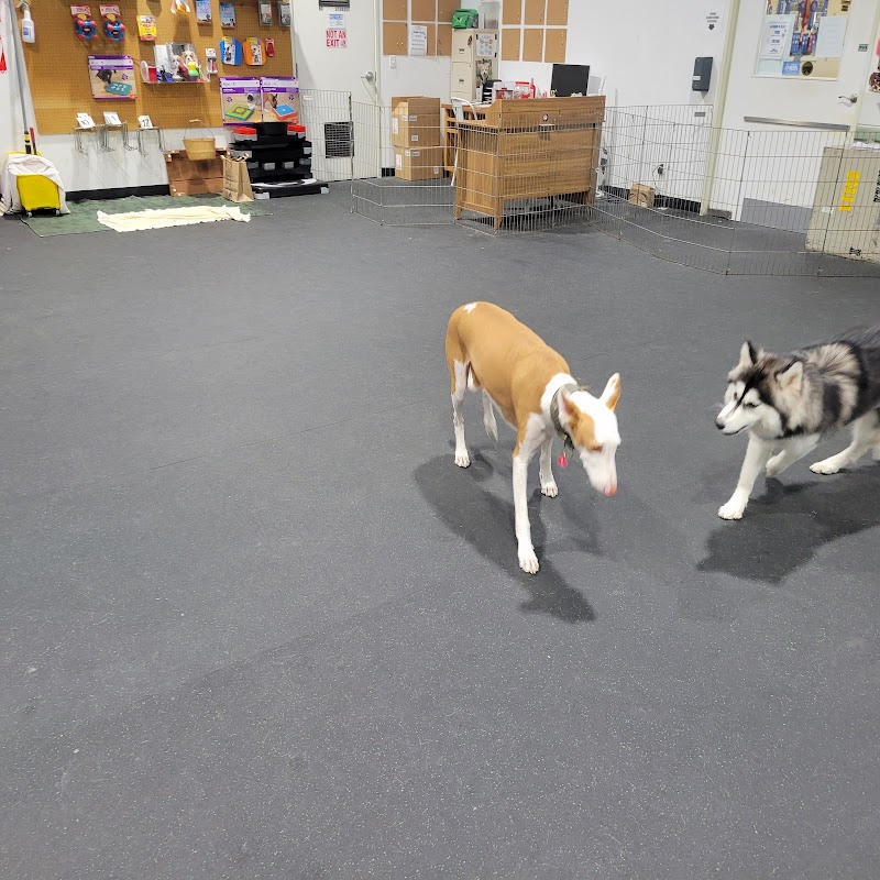 Home Away From Home Pet Spa