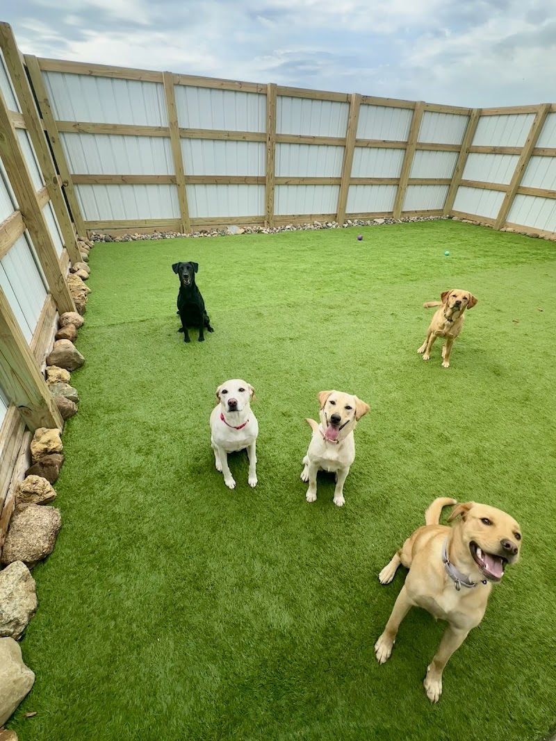 Hometown Dog Boarding