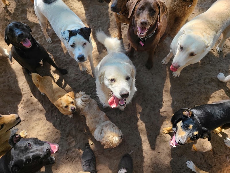 Hound Haven by the Bay Doggie Daycare & Boarding