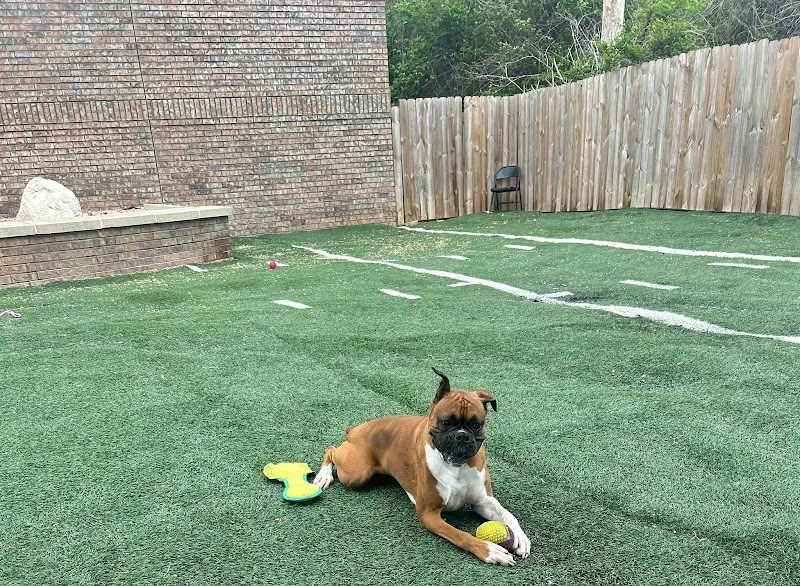 Howliday Inn Pet Resort