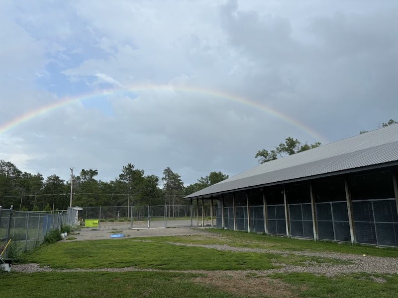 Indian River Pet Resort