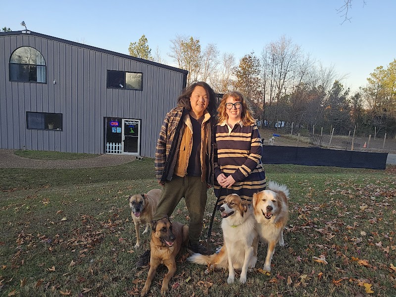 Inside Out Dog Daycare & Training