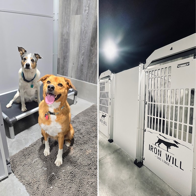 Iron Will Dog Lodge