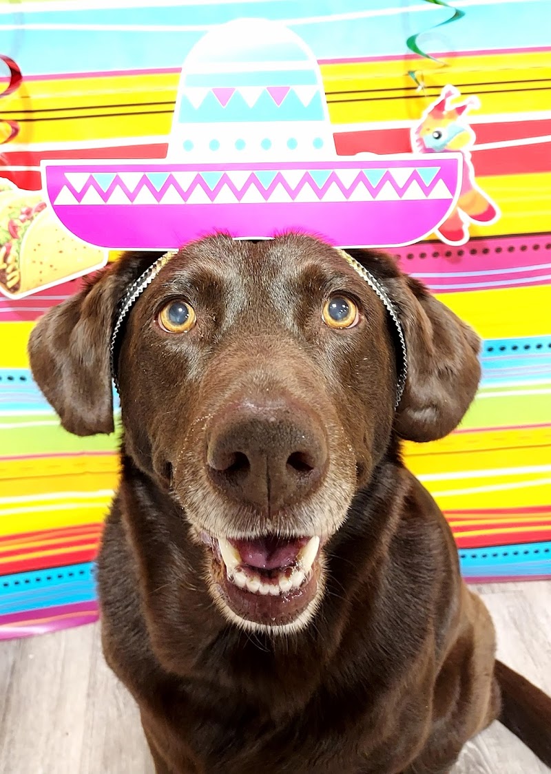 K-9 Kountry