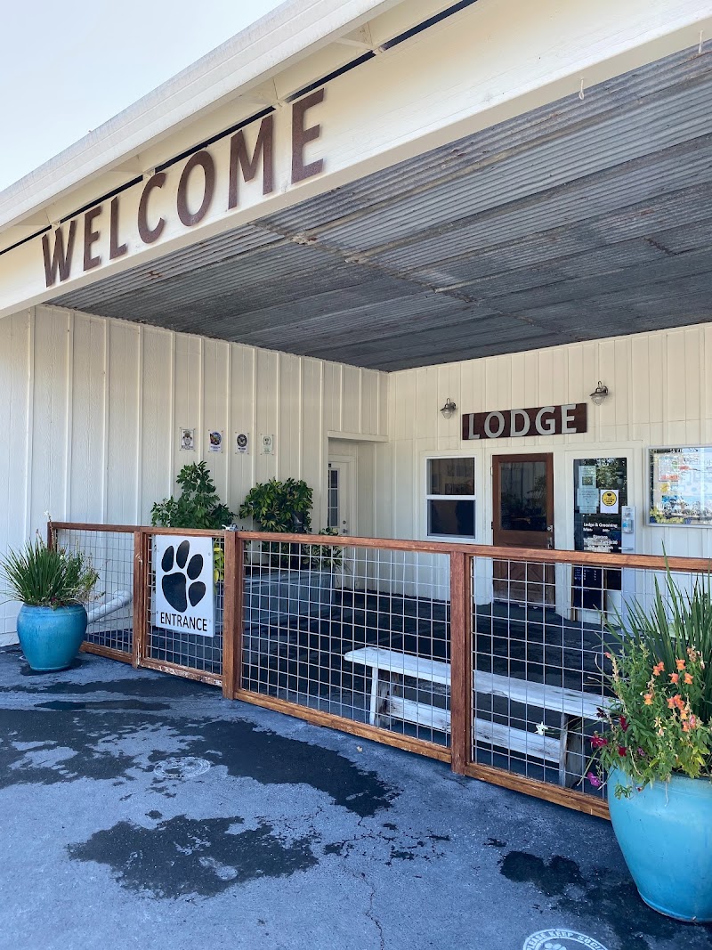 K9 Activity Club