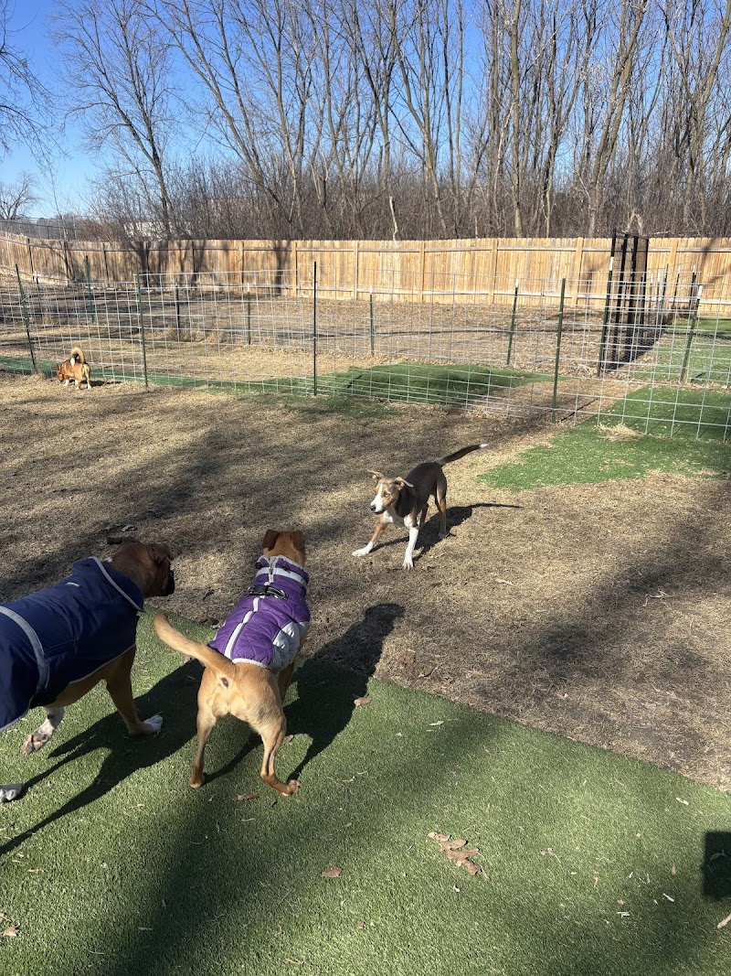 K9 Crush Dog Daycare & Boarding