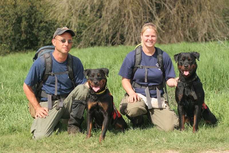 K9 Development