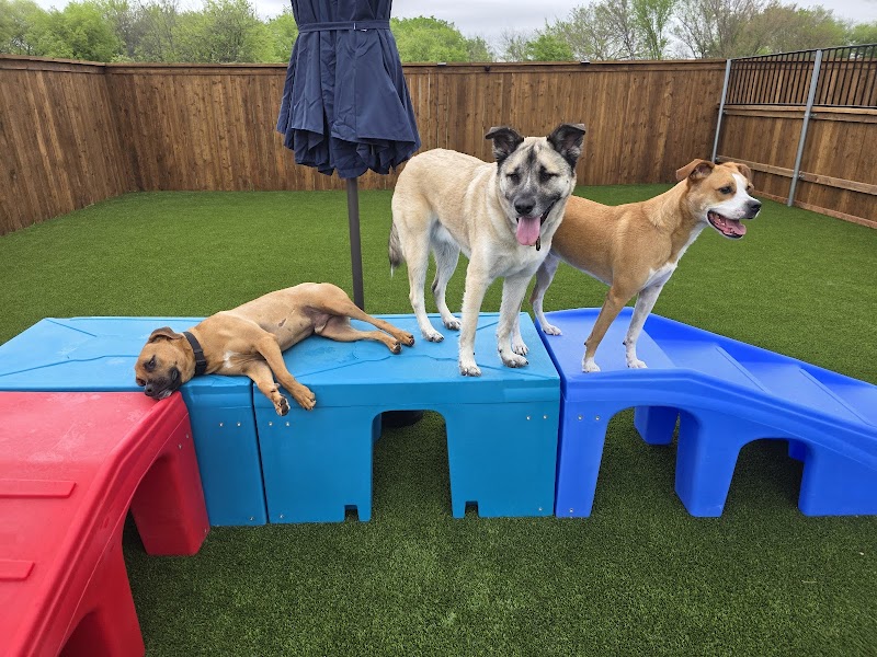K9 Kind Resort