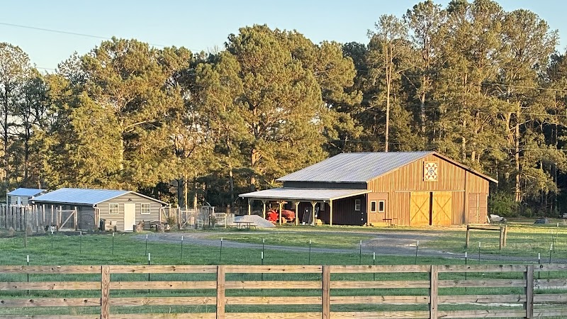 K9 Lodge Pet Boarding and Grooming