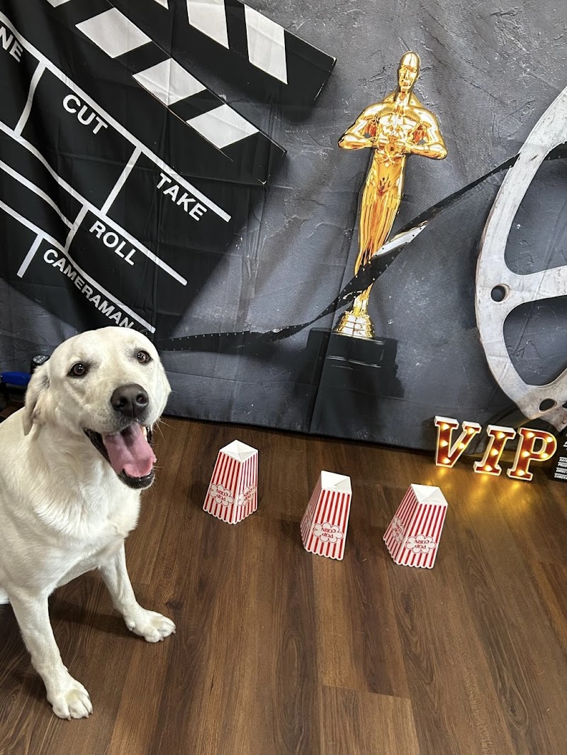King Style Dog Boarding LLC