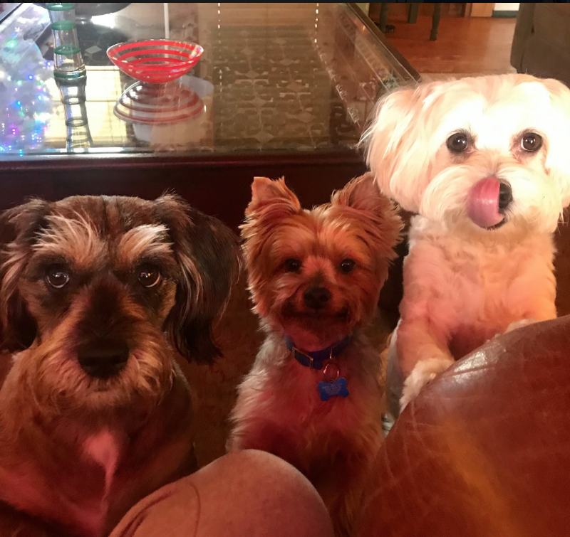 Lago Vista Pet Retreat