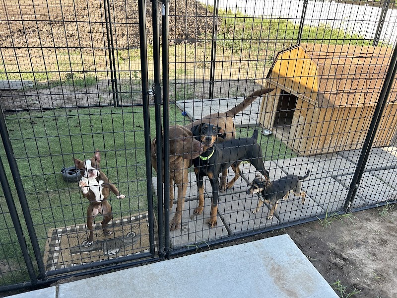 Land of Oz Boarding Kennel and Resort