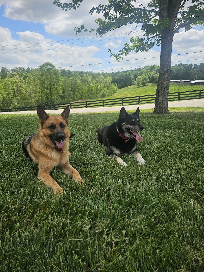 Laura's Dog Retreat
