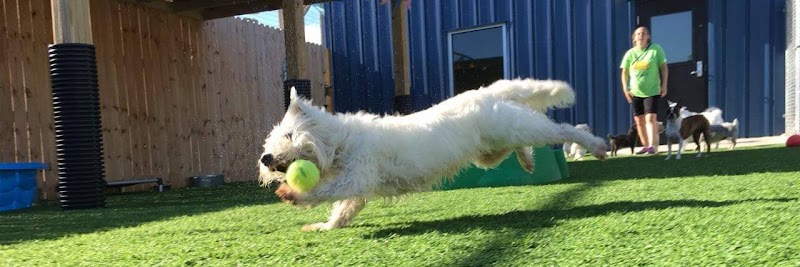 Leland Pet Resort