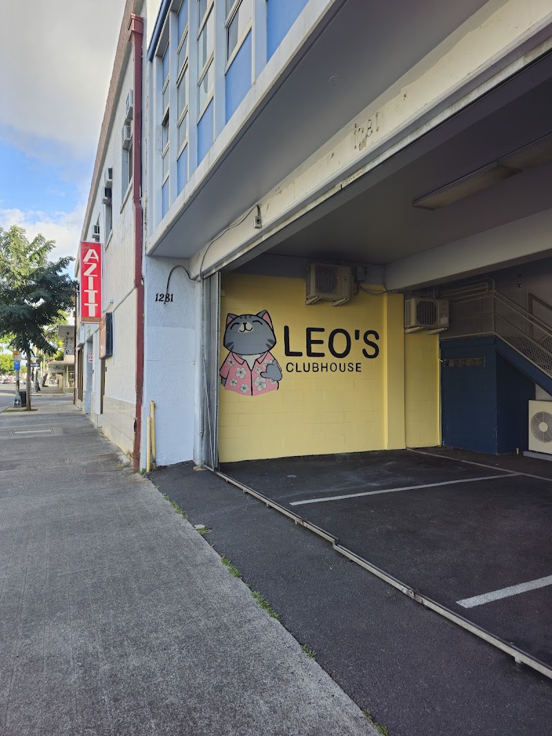 Leo's Clubhouse Cat Hotel