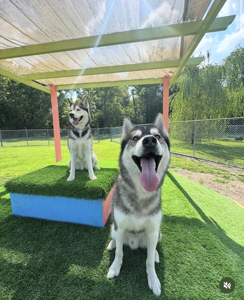 Little River Pet Resort