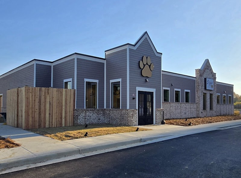 Lizzy's Luxury Lodge and Daycare