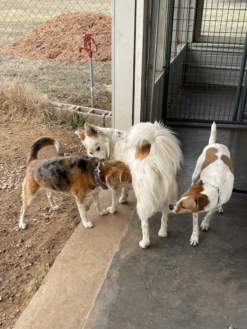 Lots of Love Dog Resort